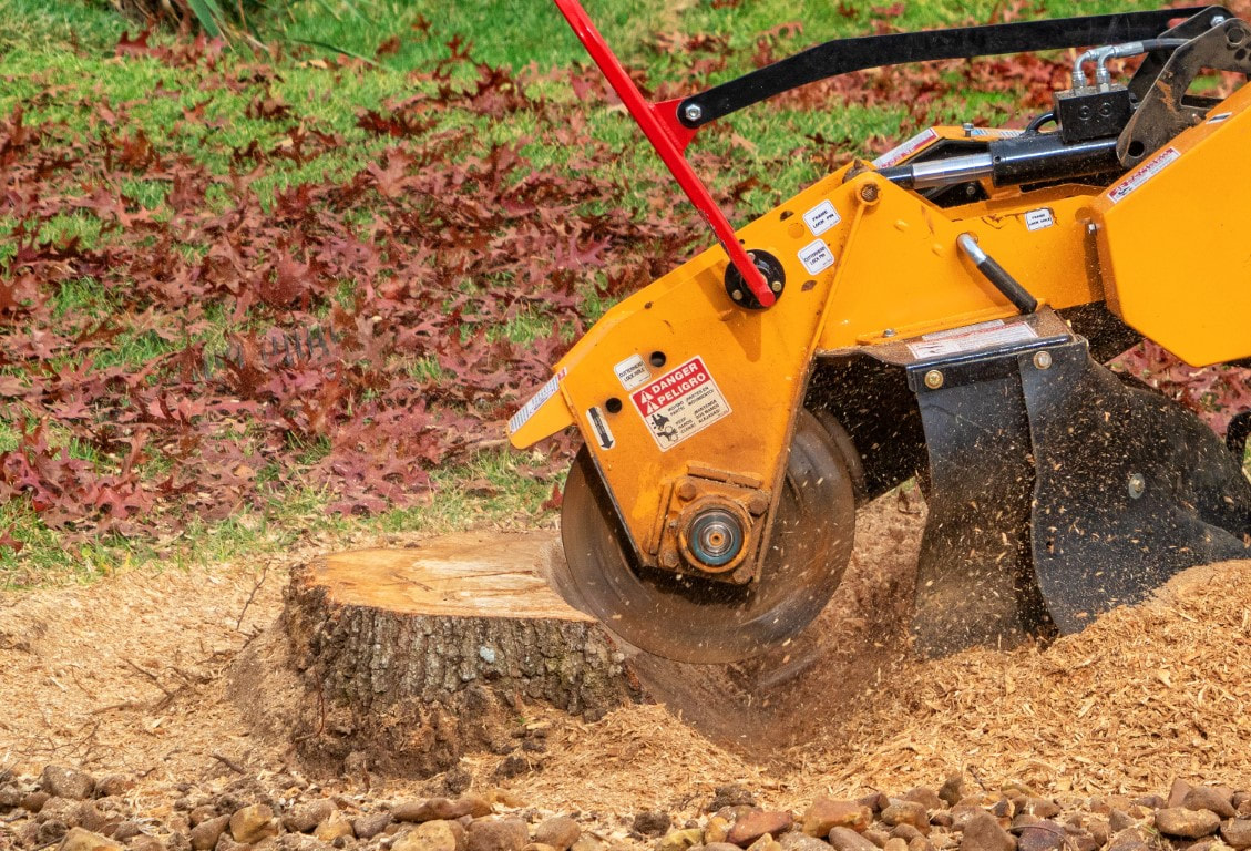 An image of Tree/Stump Removal Services in Clarksville, IN