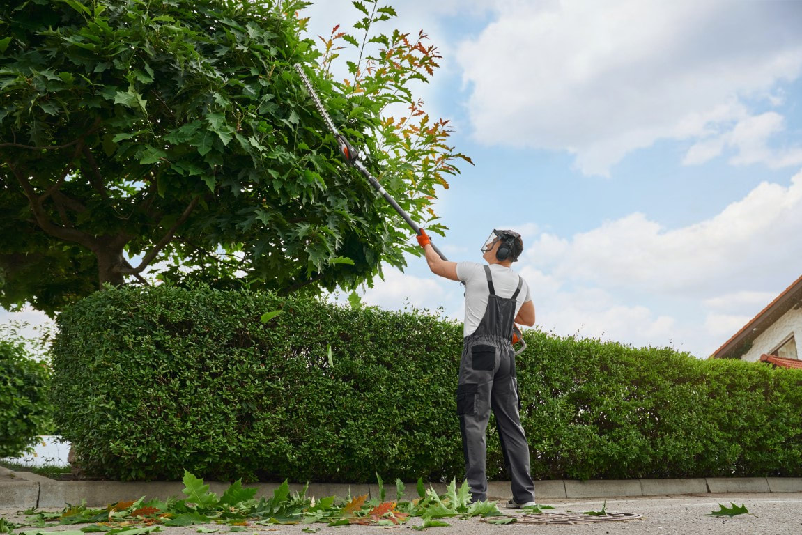 An image of Tree/Shrub Trimming and Pruning Services in Clarksville, IN
